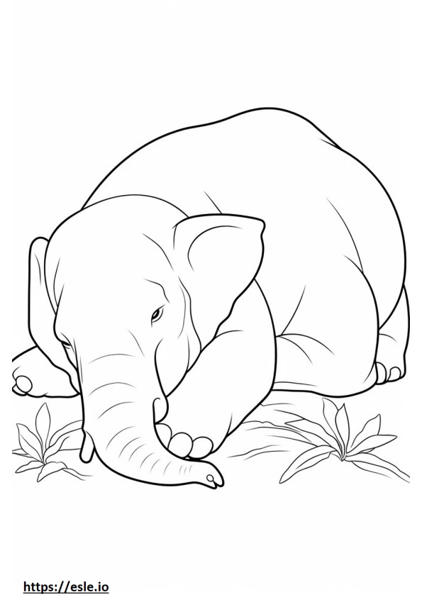 Elefantul Asiatic Dormit de colorat