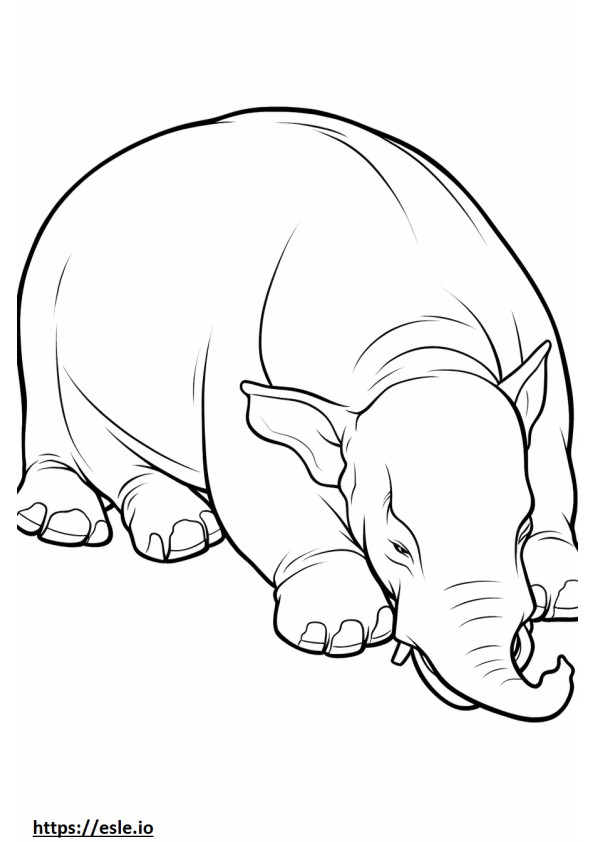 Aasian norsu nukkuu värityskuva