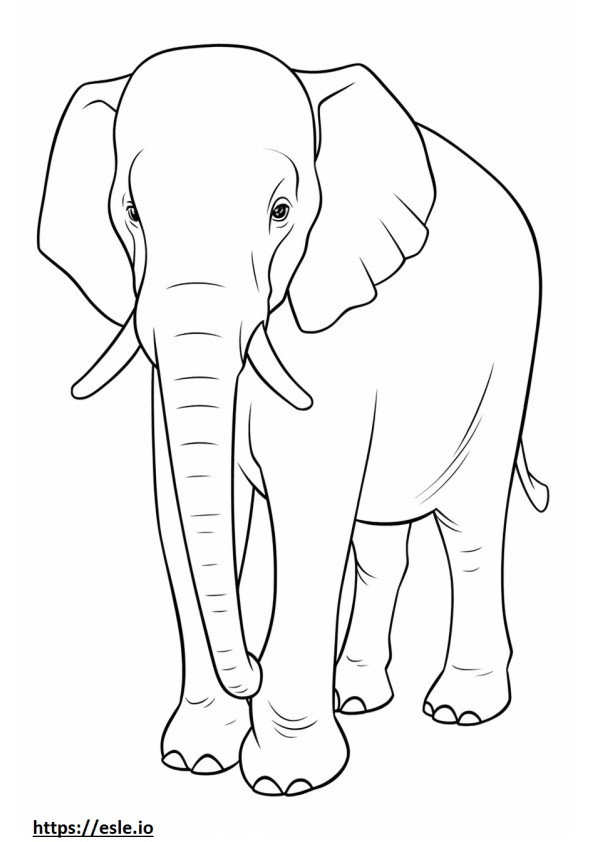 Elefante Asiático Jogando para colorir