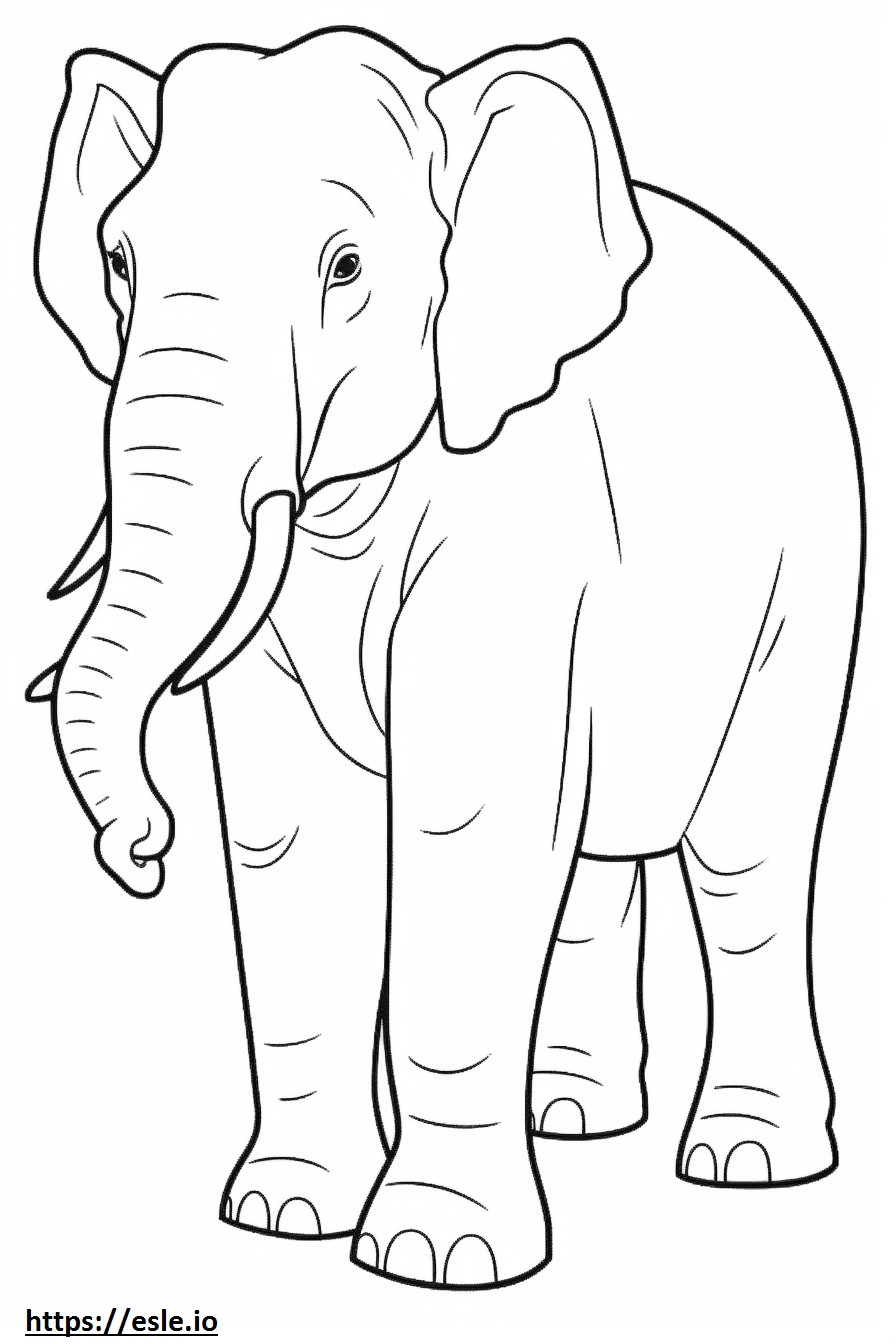Przyjazny dla słoni azjatyckich kolorowanka