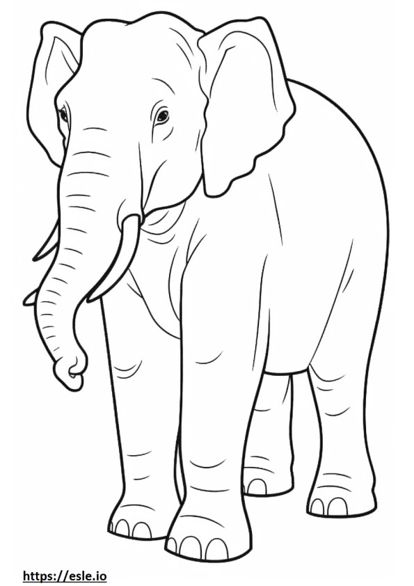 Aasian norsuystävällinen värityskuva