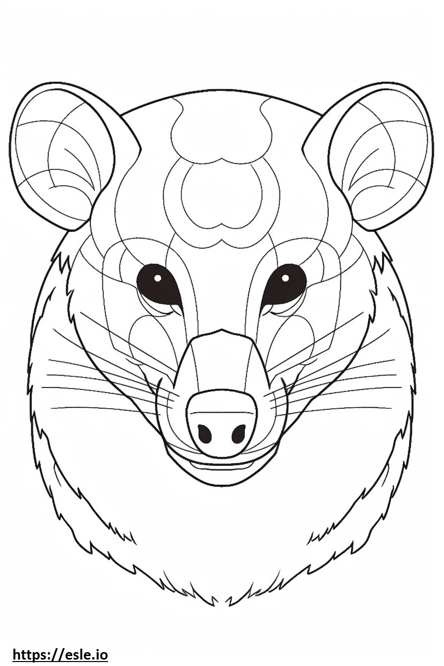 Asian Palm Civet face coloring page