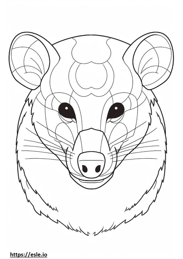 Asian Palm Civet face coloring page