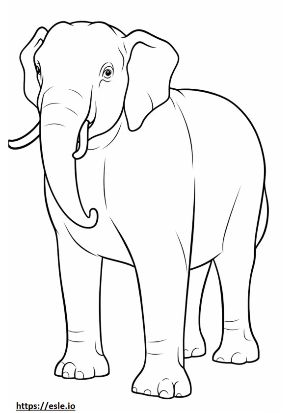 Freundlich für asiatische Elefanten ausmalbild