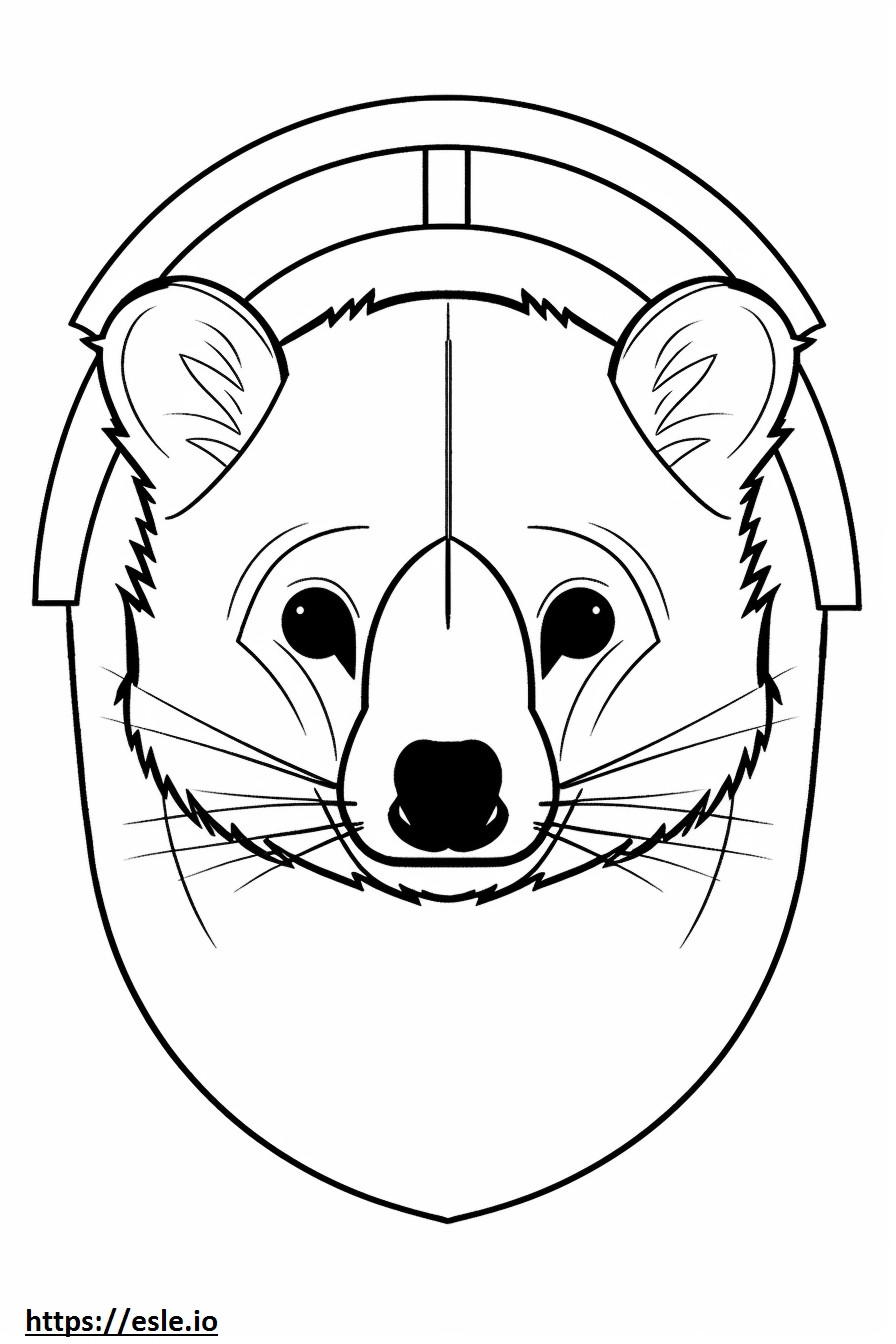 Ázsiai Pálma Civet arc szinező