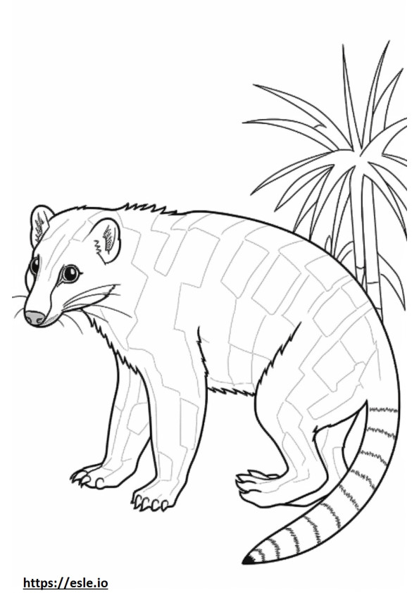 Asian Palm Civet full body coloring page