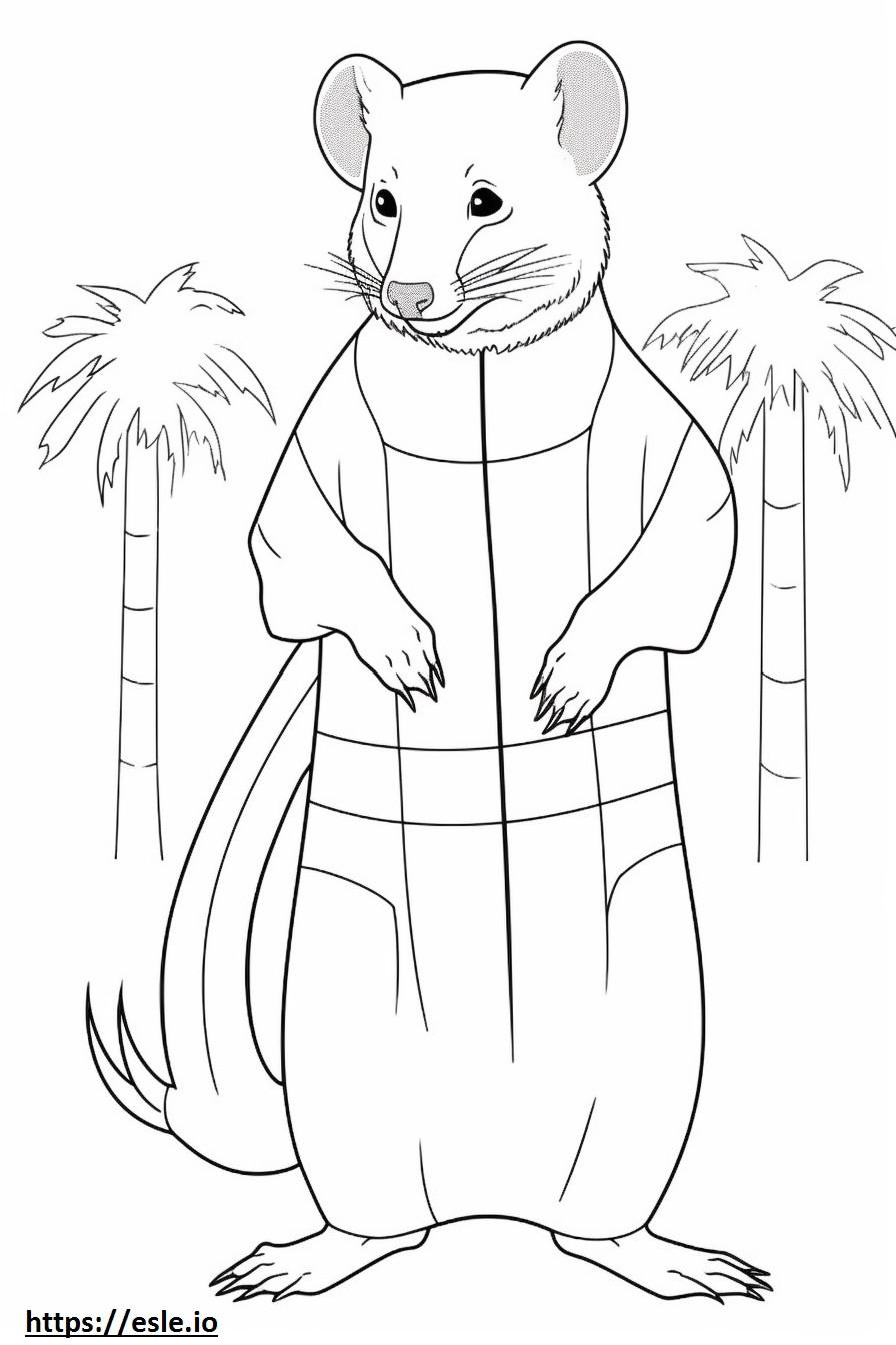 Asian Palm Civet full body coloring page