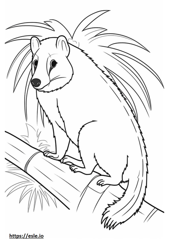 Aasian Palm Civet sarjakuva värityskuva