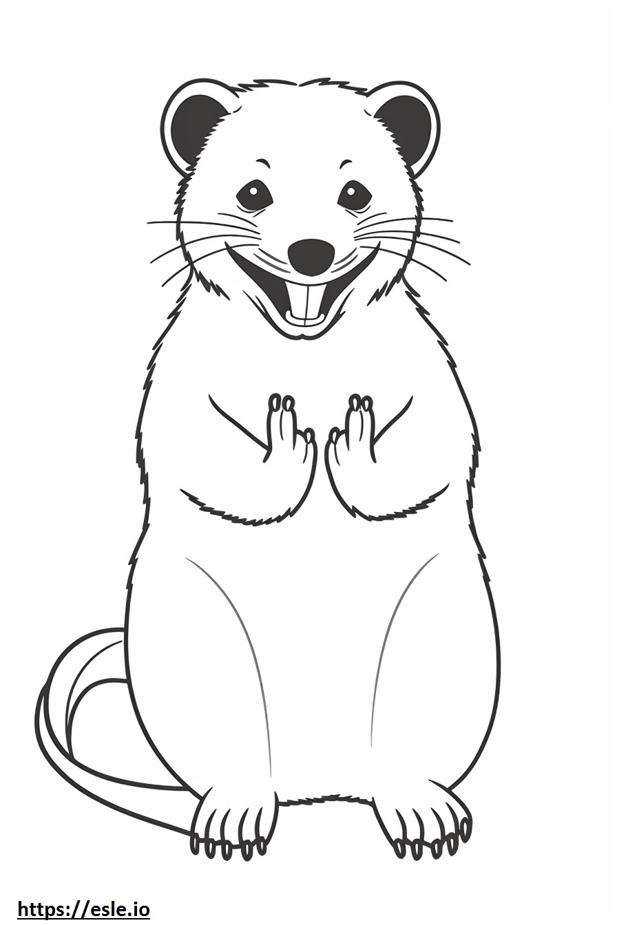 Asya Palmiye Misk Kedisi gülümseme emojisi boyama