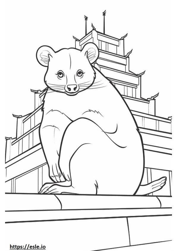 Asya palmiye misk kedisi karikatür boyama