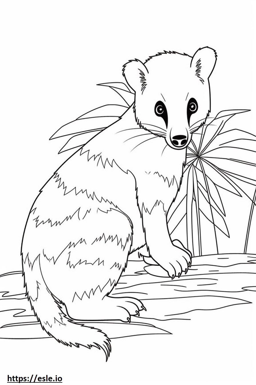 Asian Palm Civet cute coloring page