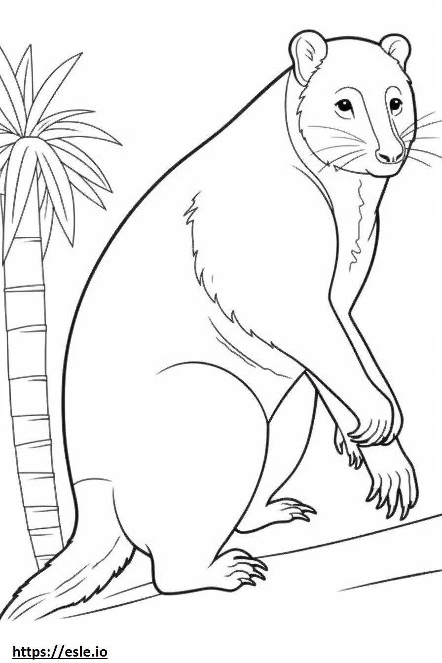 Aasian Palm Civet söpö värityskuva