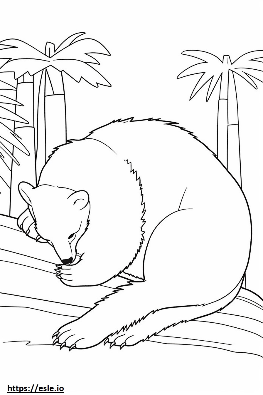 Ázsiai Pálma Civet alszik szinező