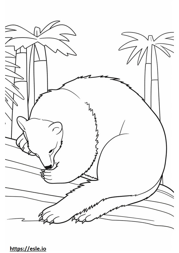 Asya Palmiye Misk Kedisi Uyuyor boyama