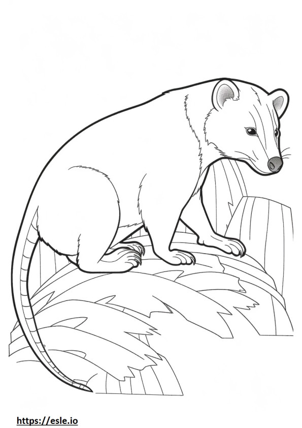 Asian Palm Civet Playing coloring page