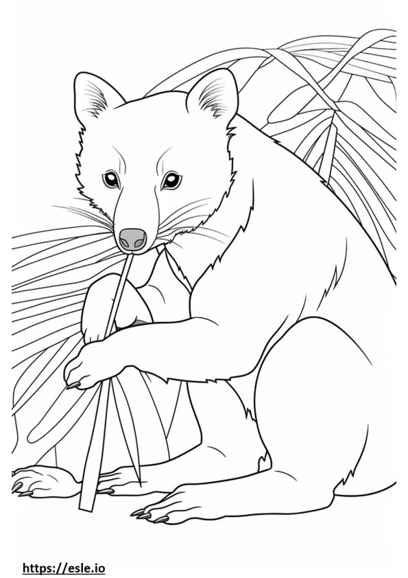 Asian Palm Civet Friendly coloring page