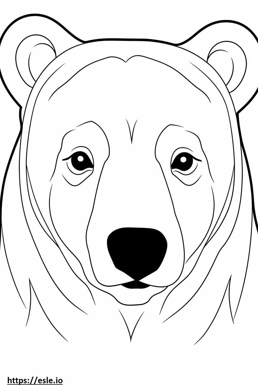 Asiatic Black Bear face coloring page