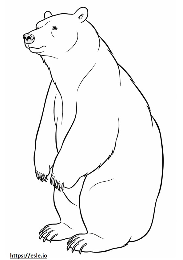 Asiatic Black Bear full body coloring page