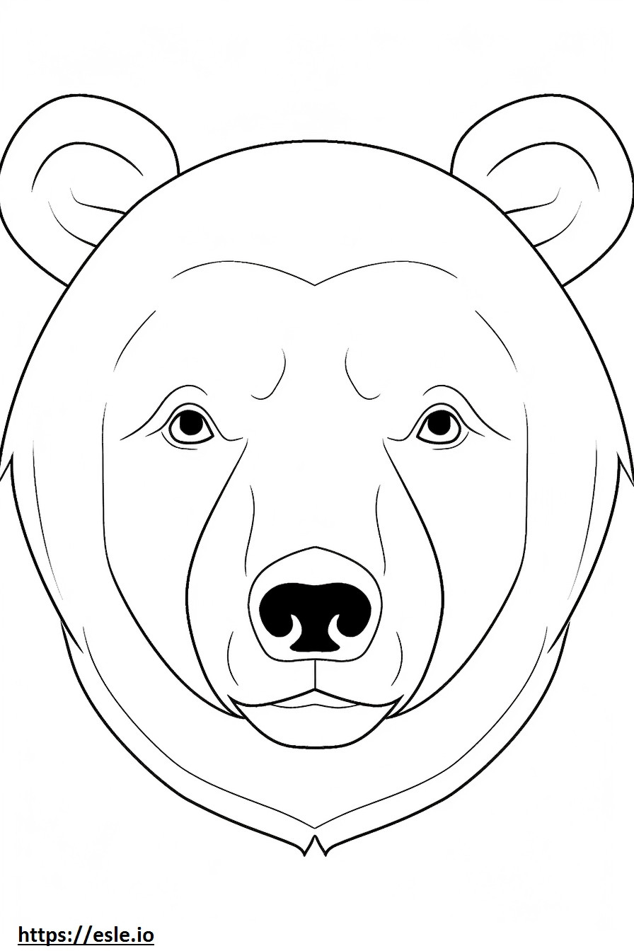 Cara de urso negro asiático para colorir