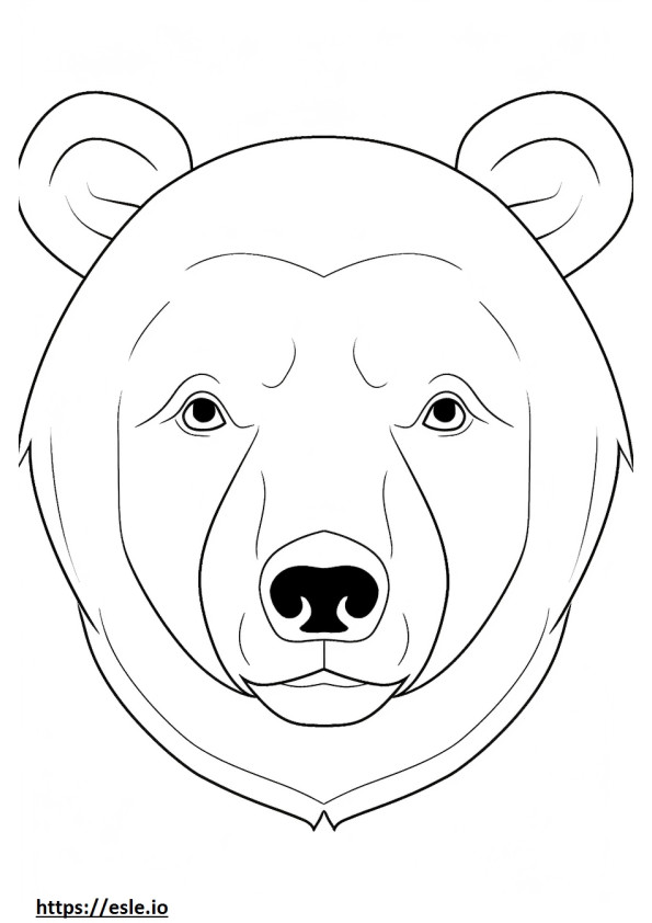 Asiatic Black Bear face coloring page