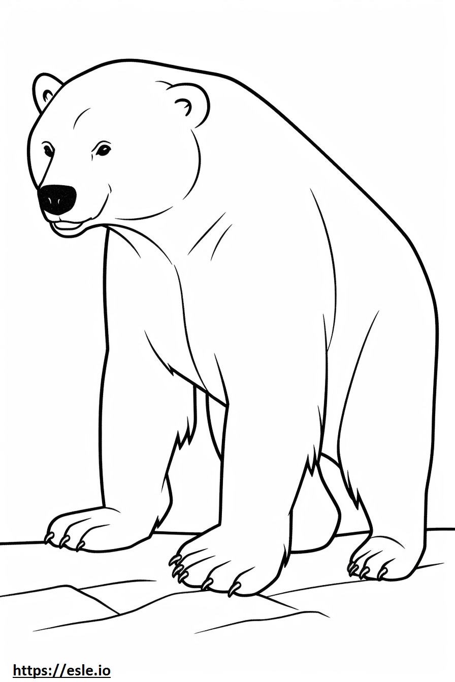 Asiatic Black Bear cartoon coloring page