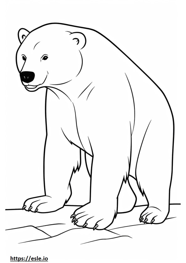 Desen animat cu urs negru asiatic de colorat