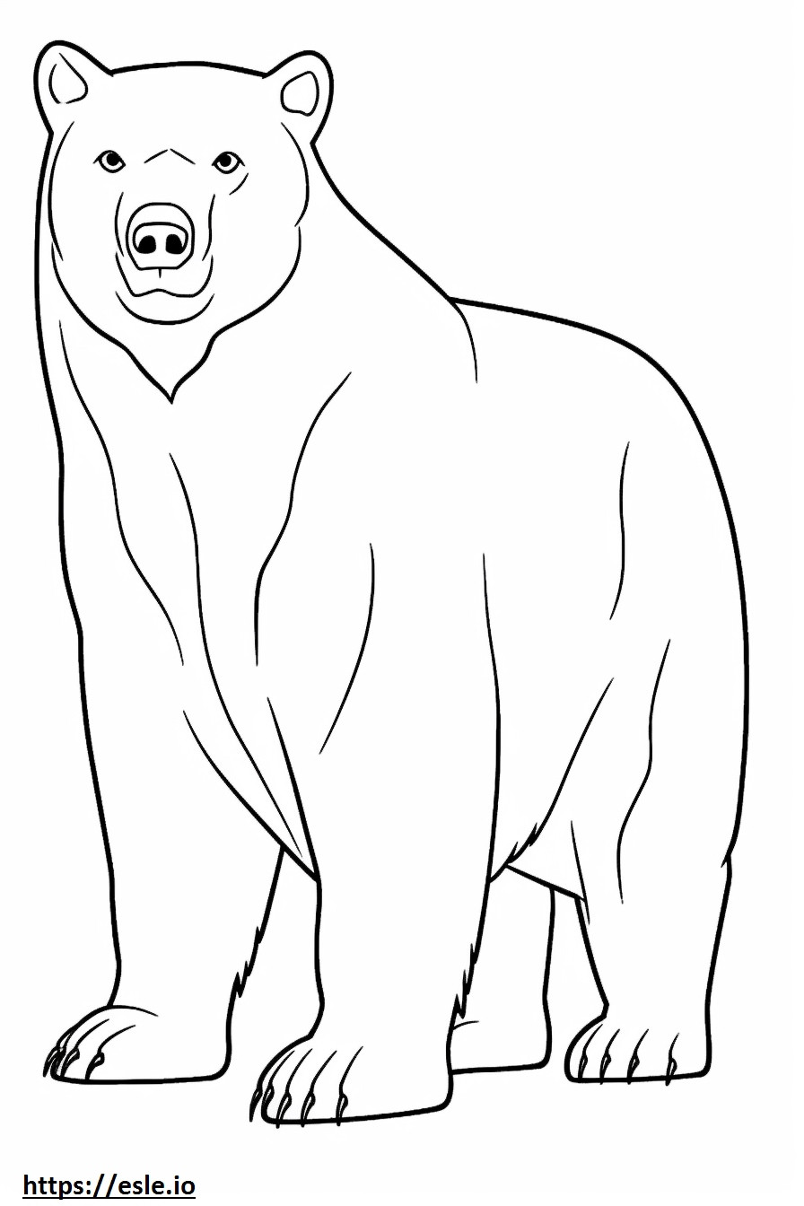 Coloriage Caricature d’ours noir asiatique à imprimer