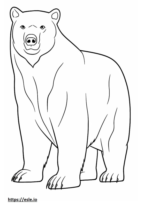 Desenho animado do Urso Negro Asiático para colorir