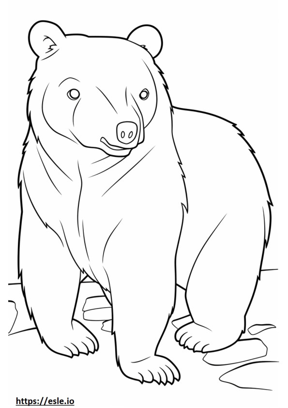 Urso Negro Asiático fofo para colorir
