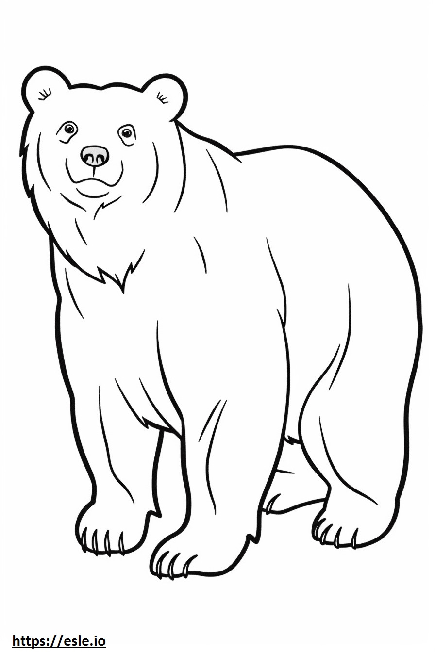 Asiatic Black Bear happy coloring page