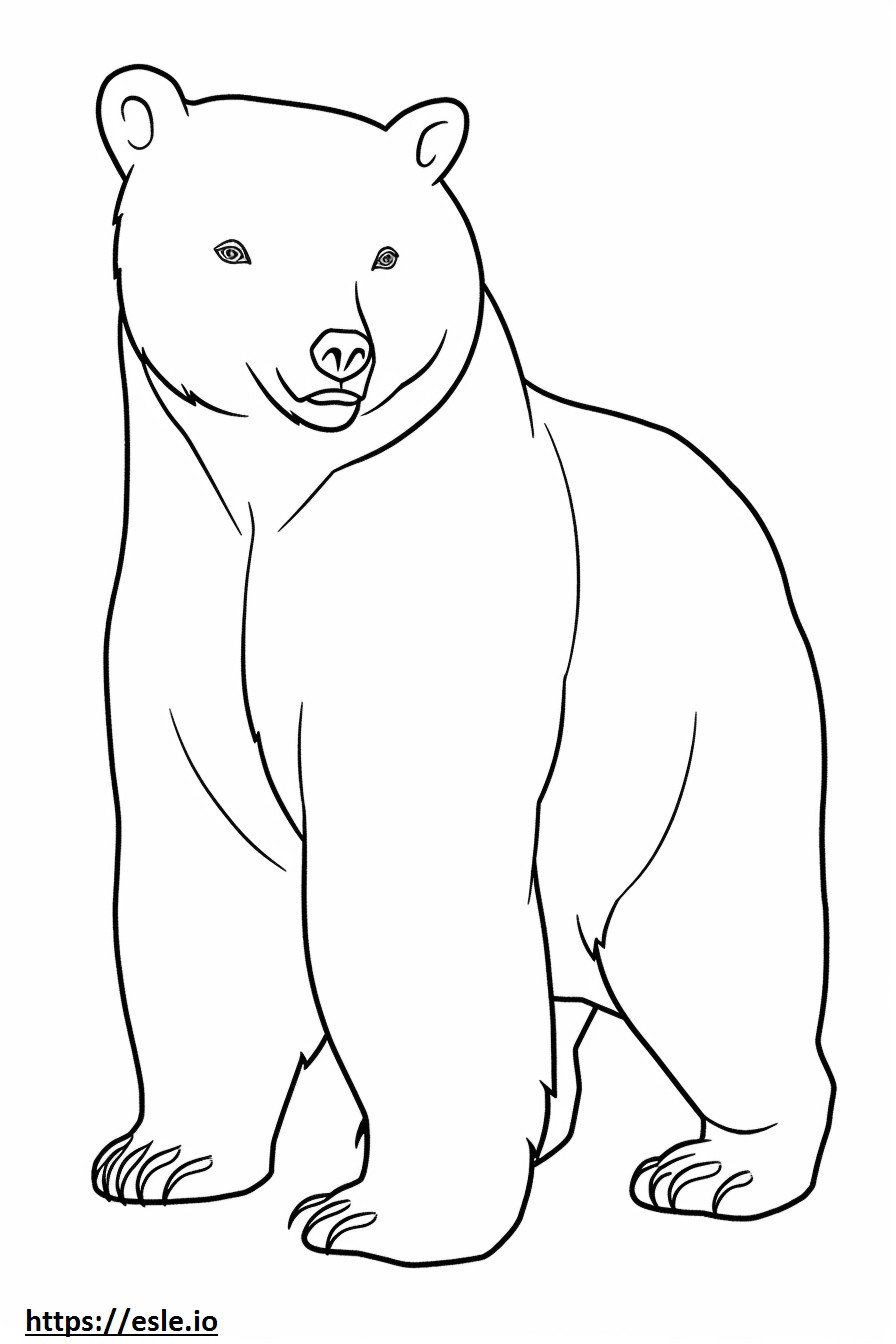 Asiatic Black Bear cute coloring page