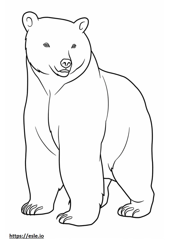 Asiatic Black Bear cute coloring page
