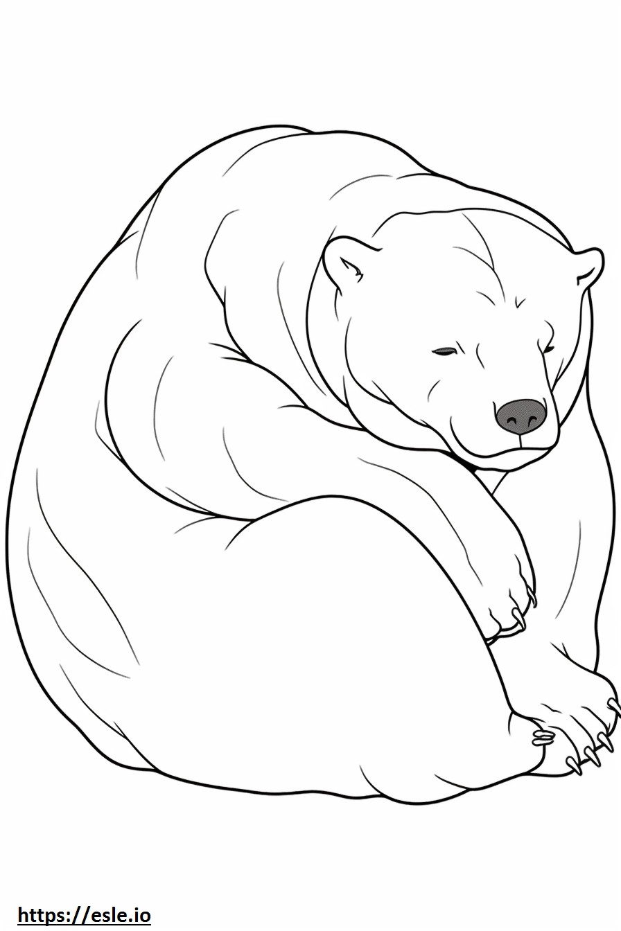 Beruang Hitam Asia sedang tidur gambar mewarnai