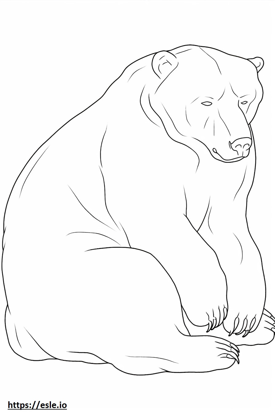 Ursul Negru Asiatic Dormit de colorat