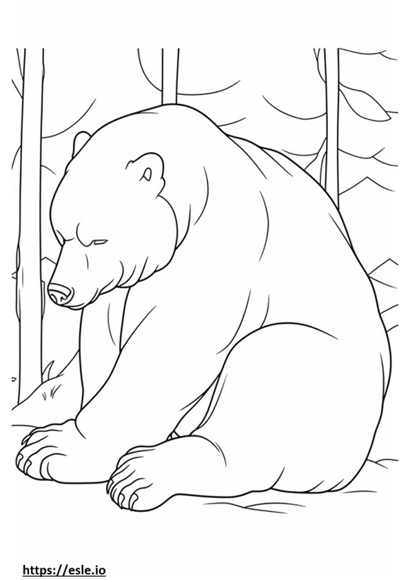 Azjatycki niedźwiedź czarny śpi kolorowanka