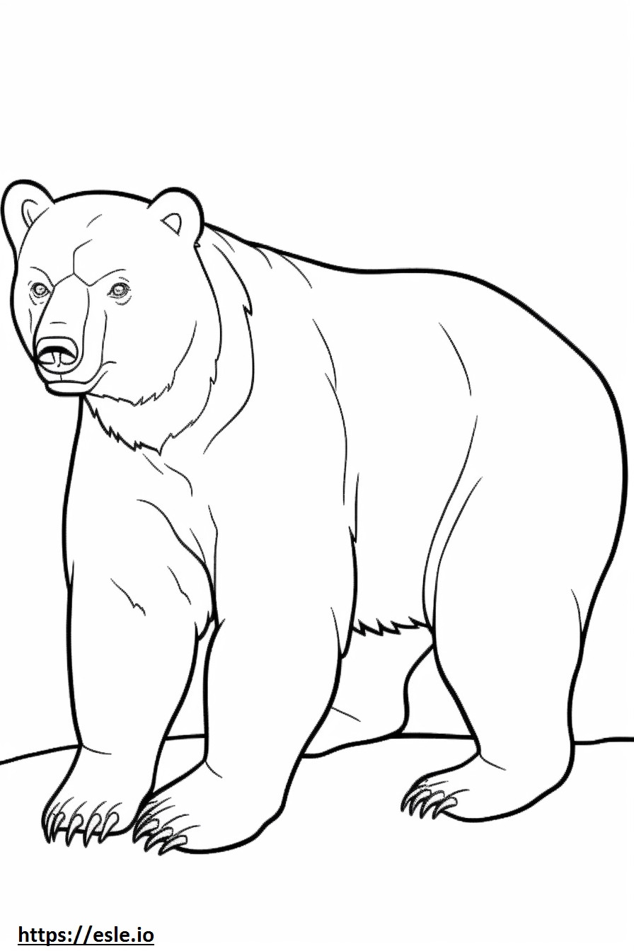 Urso Negro Asiático Jogando para colorir