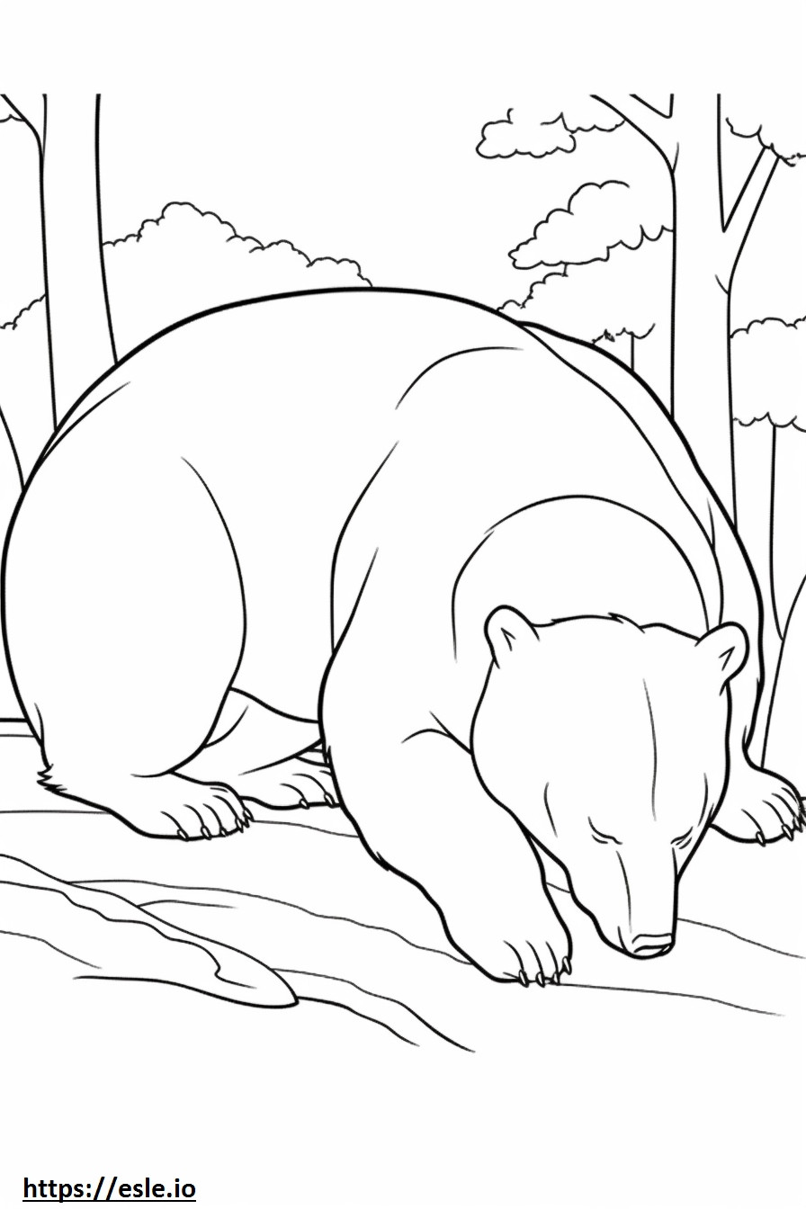 Ursul Negru Asiatic Dormit de colorat