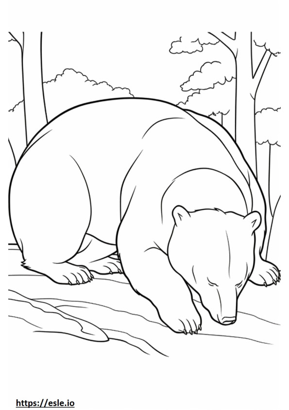 Urso Negro Asiático Dormindo para colorir