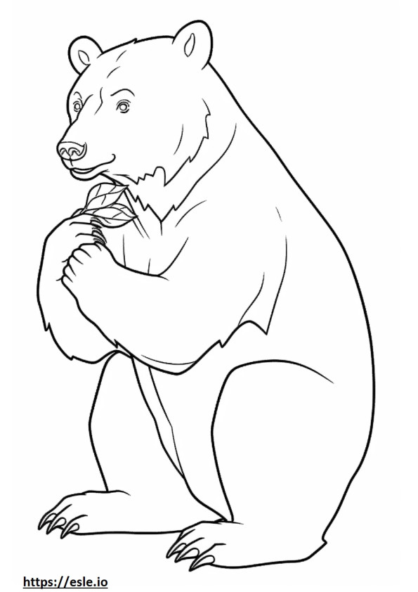 Urso Negro Asiático Jogando para colorir