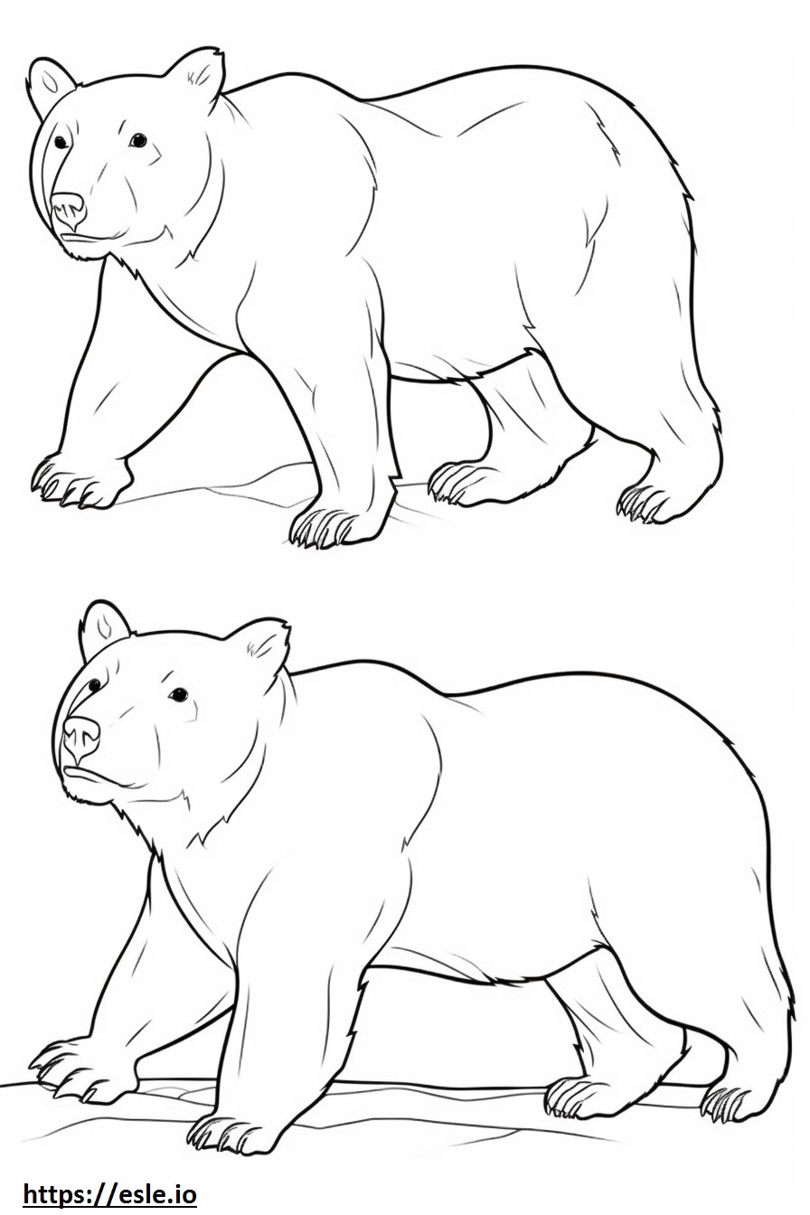 Asiatic Black Bear Playing coloring page