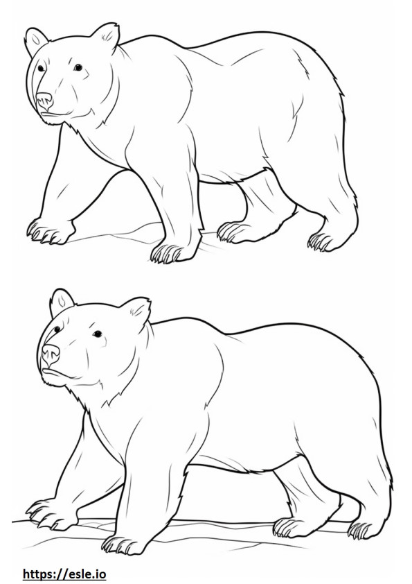 Asiatic Black Bear Playing coloring page