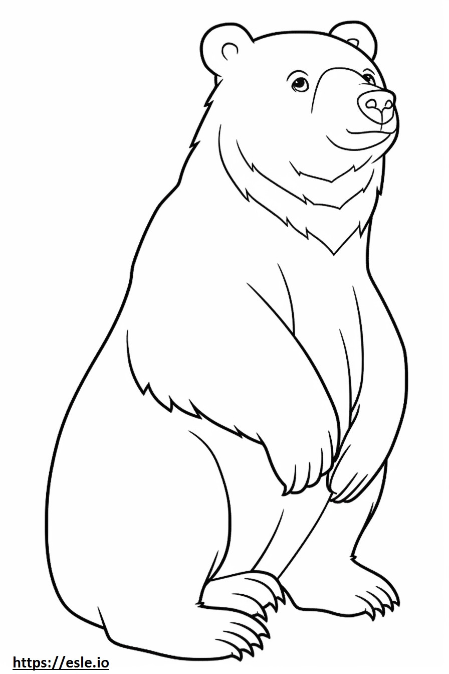 Asiatic Black Bear Friendly coloring page