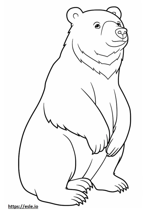 Amichevole con l'orso nero asiatico da colorare