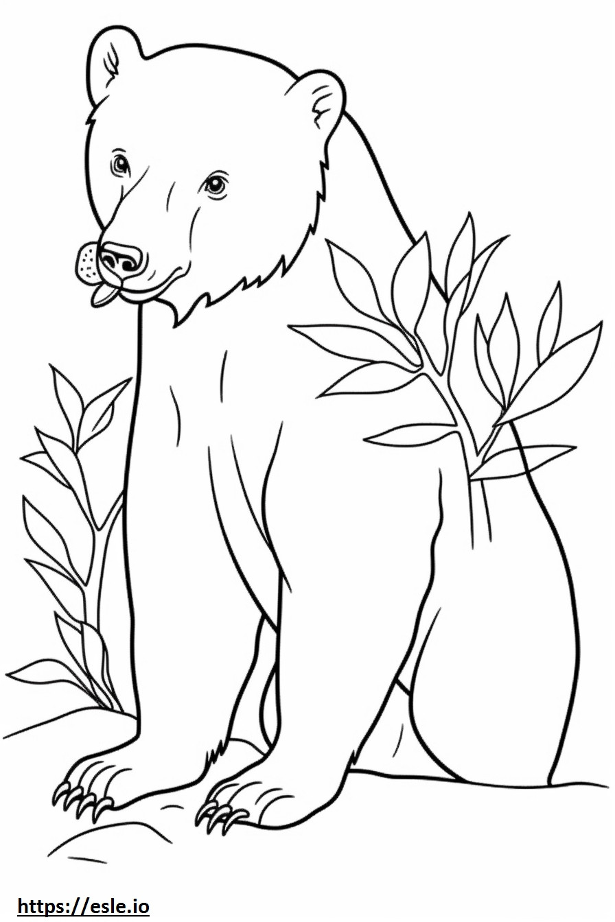 Asiatic Black Bear Friendly coloring page