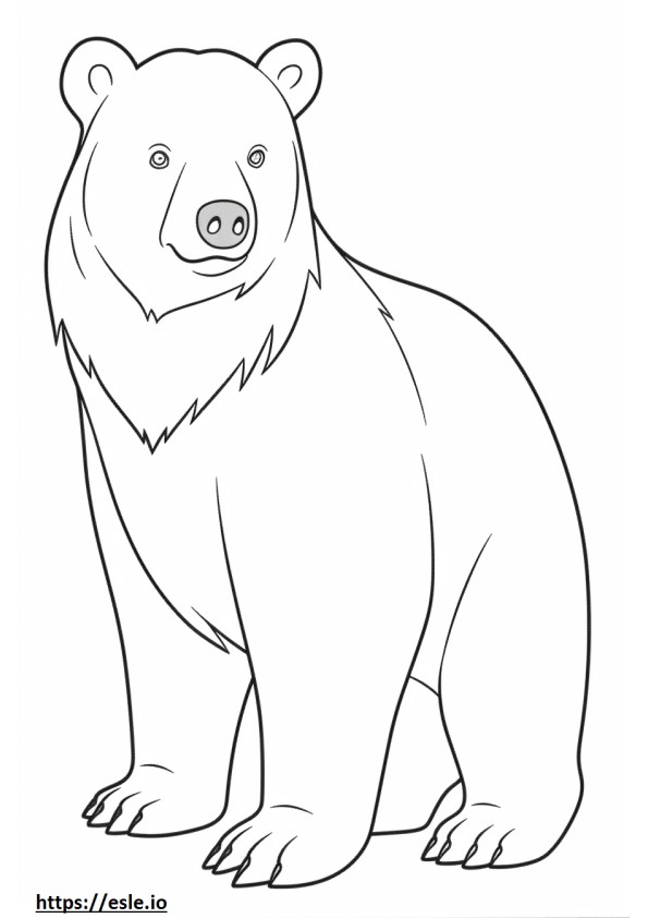 Urso Negro Asiático Kawaii para colorir