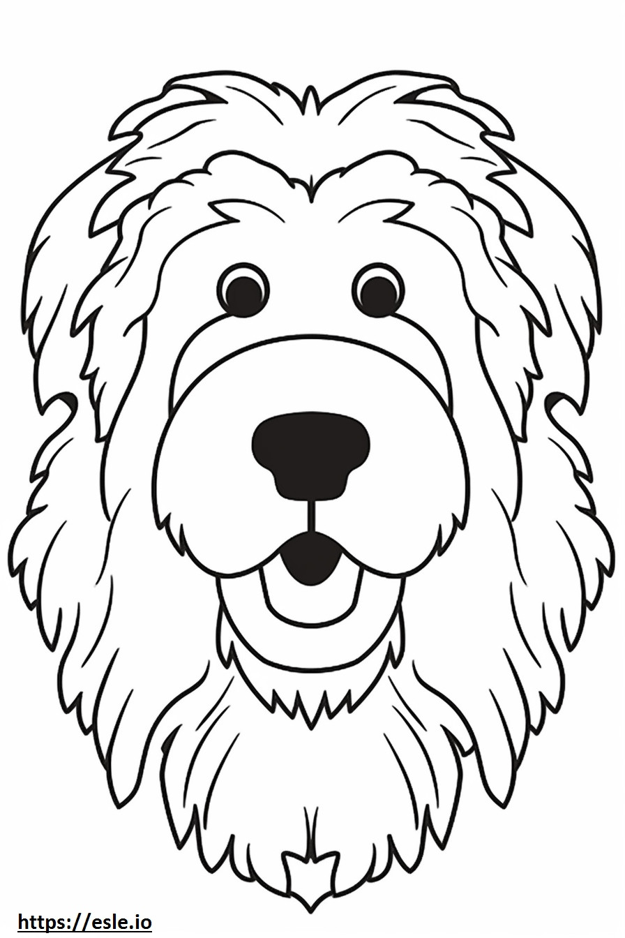 Aussiedoodle face coloring page