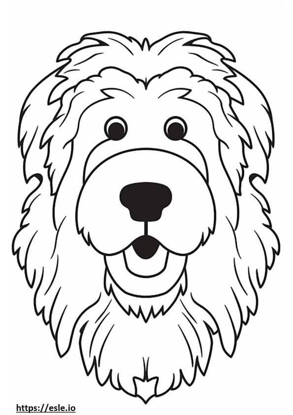 Aussiedoodle face coloring page