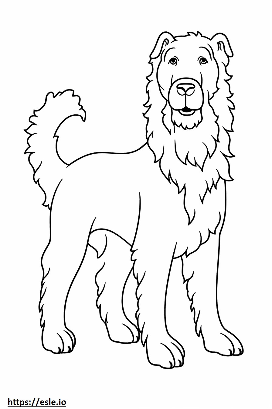 Aussiedoodle full body coloring page