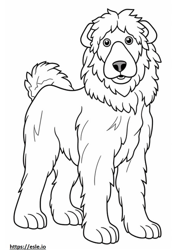 Aussiedoodle cartoon coloring page