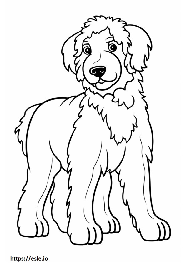 Aussiedoodle cute coloring page